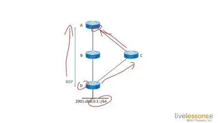 Large-Scale Network Design