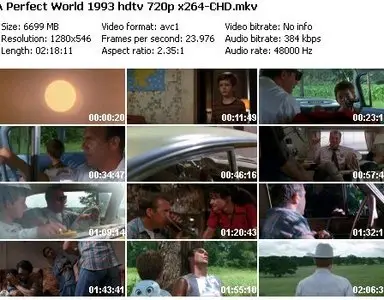 A Perfect World (1993)