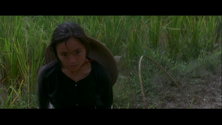 Heaven & Earth (1993) [DVD9] [2004]