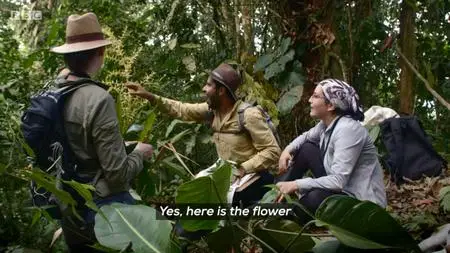 BBC Our World - Colombia: Saving Eden (2020)