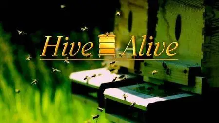 BBC - Hive Alive (2014)