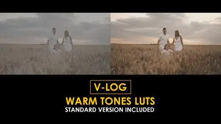 V-Log Warm Tones and Standard LUTs 51434416
