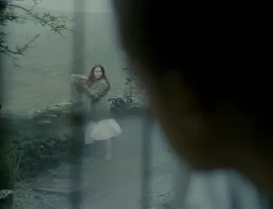 Wuthering Heights (2011)