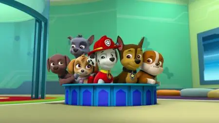 Paw Patrol S06E03