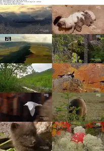 Animal planet - Viking Wilderness S01E02: Race for Life (2011)