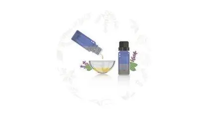 Essential Oils Aromatherapy Uses & Benefits Living Healthy