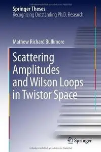 Scattering Amplitudes and Wilson Loops in Twistor Space (Repost)
