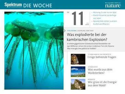 Spektrum - Die Woche - Nr.11, 2016