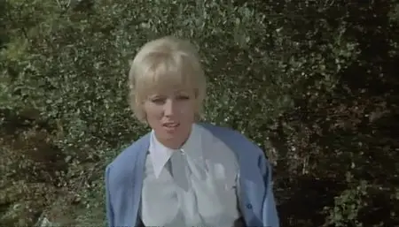 Le Boucher (1970) [Repost]