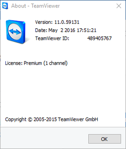 TeamViewer Premium 11.0.59131 Multilingual