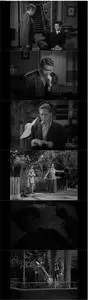 Without Love (1945)