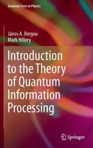 Introduction to the Theory of Quantum Information Processing