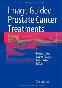Image Guided Prostate Cancer Treatments