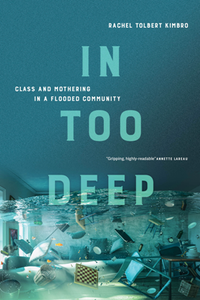 In Too Deep : Class and Mothering in a Flooded Community