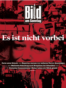 Bild am Sonntag, 11. Januar 2015