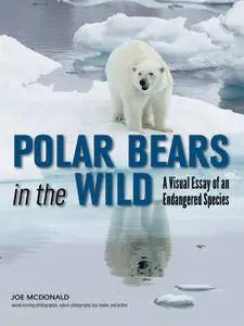 Polar Bears In The Wild: A Visual Essay of an Endangered Species