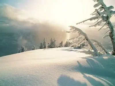 Winter wallpapers