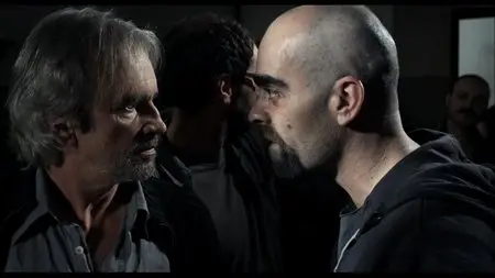 Cell 211 (2009)