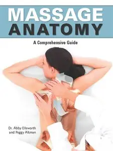 Massage Anatomy: a Comprehensive Guide
