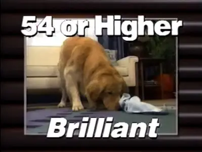 Test Your Dog's IQ (1998)