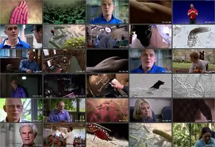 Life on Us: A Microscopic Safari (2014)