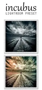 GraphicRiver Incubus Lightroom Preset