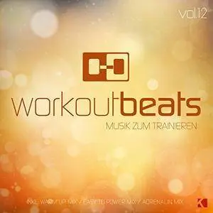 VA - Workout Beats Vol 12 (Musik Zum Trainieren) (2017)