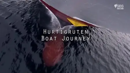 SBS - Hurtigruten Boat Journey (2011)