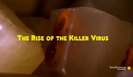 Smithsonian Channel - The Rise of the Killer Virus (2014)