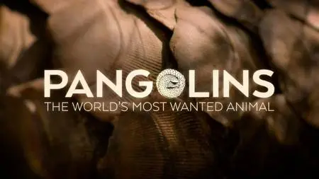 BBC Natural World - Pangolins: The World's Most Wanted Animal (2018)