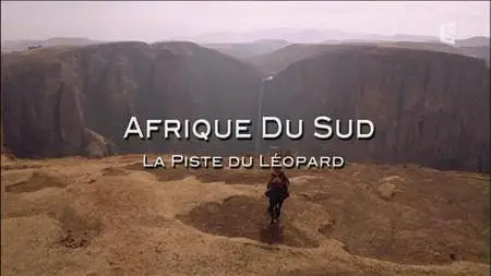 (Fr5) Afrique du Sud - La piste du léopard (2016)