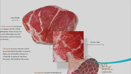 PBS - NOVA scienceNOW: Can I Eat That? (2012)