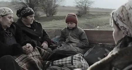 The Search (2014)