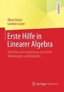 Erste Hilfe in Linearer Algebra: Überblick und Grundwissen mit vielen Abbildungen und Beispielen