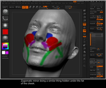 Sculpting the Face with Scan Data (2011)