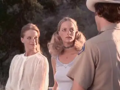 The Great Texas Dynamite Chase (1976)