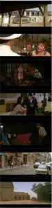 Dog Day (1984) Canicule [w/Commentary]