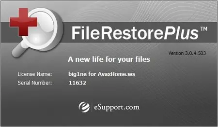 FileRestorePlus 3.0.4 Build 503