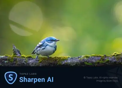 Topaz Sharpen AI 3.0.3 (x64)