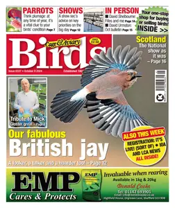 Cage & Aviary Birds - 9 October 2024