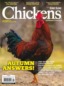 Chickens - September-October 2025