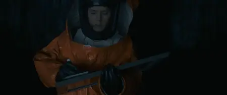 Arrival (2016)