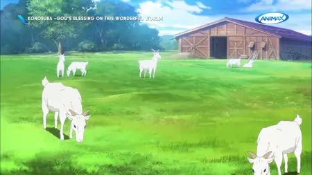 Haikyuu!! - 22 (ANIMAX Asia 1920x1080 H264 MP2