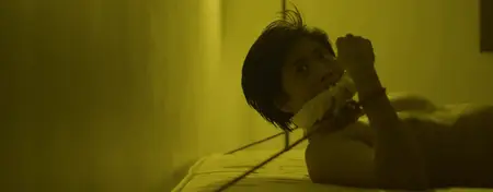 Kolektor (2025)