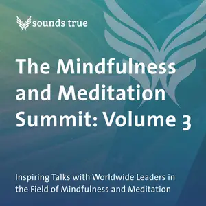 The Mindfulness and Meditation Summit: Volume 3 [Audiobook]