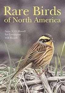 Rare Birds of North America