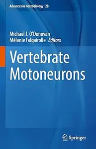 Vertebrate Motoneurons