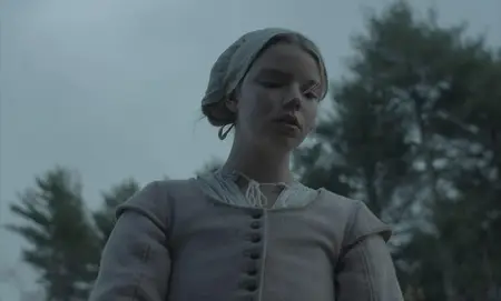 The Witch (2016) + Extras & Commentary