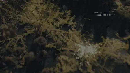 The Last of Us S02E06