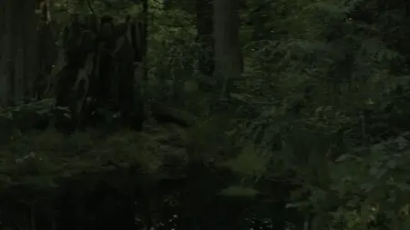 The Last of Us S02E06